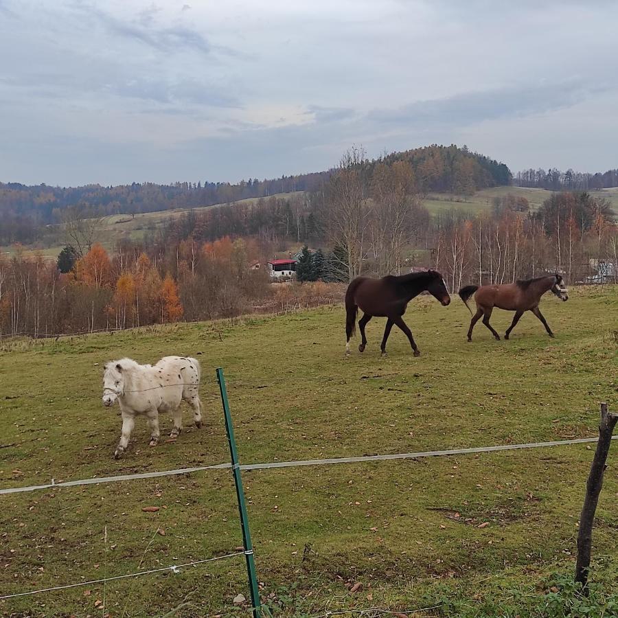 Sniezna Chatka - Sosnowka Karpacz Dış mekan fotoğraf