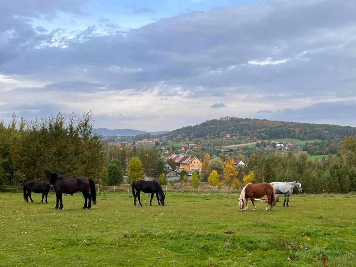 Sniezna Chatka - Sosnowka Karpacz Dış mekan fotoğraf