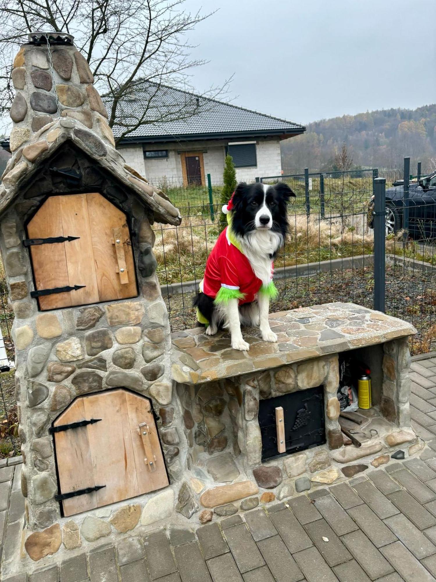Sniezna Chatka - Sosnowka Karpacz Dış mekan fotoğraf